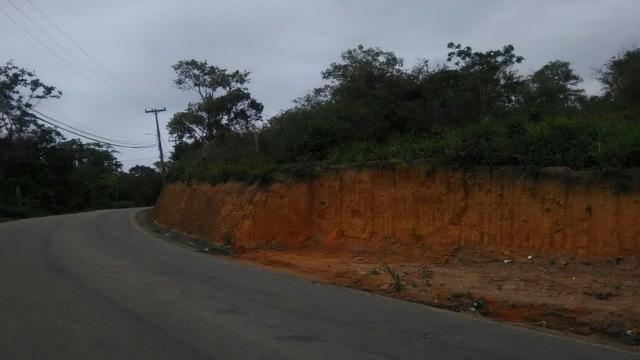 Bon: 1562 Madressilva - Saquarema