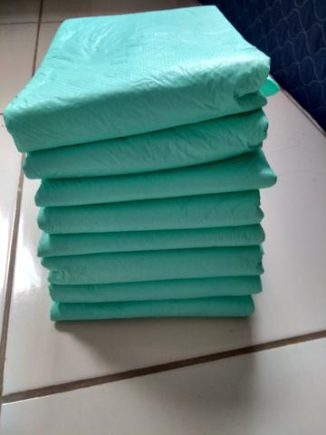 Tapete Higiênico para pets - Foto 2