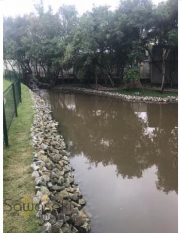 Terreno, Uberaba, Curitiba-PR - Foto 3