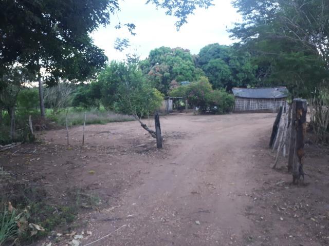 Sitio próximo do manso - Foto 12