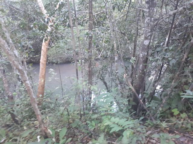 Sitio próximo do manso - Foto 18