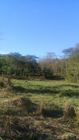 Aceito carro de ate 20 mil no negocio - Foto 18