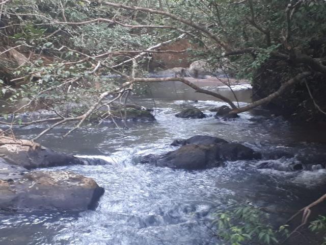 Sitio próximo do manso - Foto 4