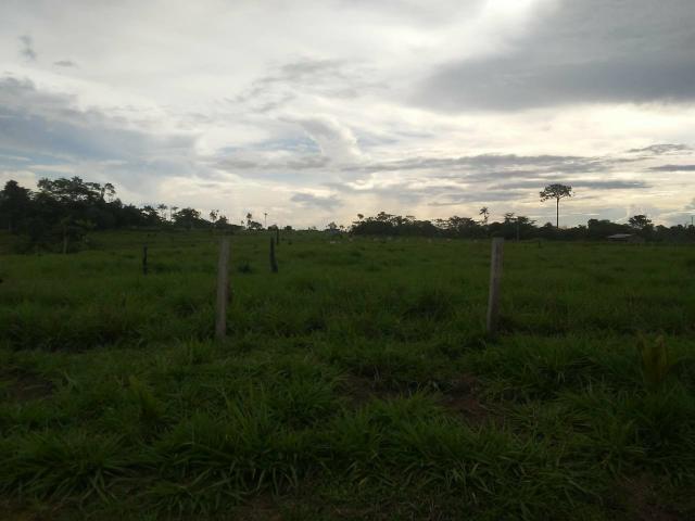 Vendesse um colônia estrada de porto acre ramal pira pora 28 km de ramal - Foto 6