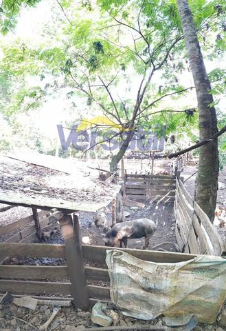 Chácara a 28km sentido Palmas X Aparecida do Rio Negro, confira!!!