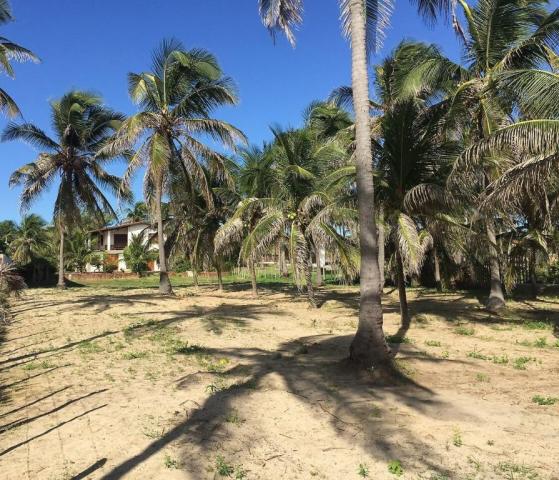 Casa à venda com 5 dormitórios em Flexeiras guajiru, Trairi cod:CA0027 - Foto 12