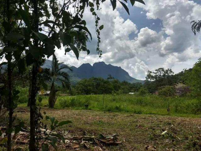 Terreno - São Jõao da Graciosa - Morretes - Foto 5