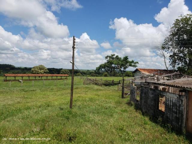 Sítio para venda em martinópolis, represa de martinopolis - Foto 5