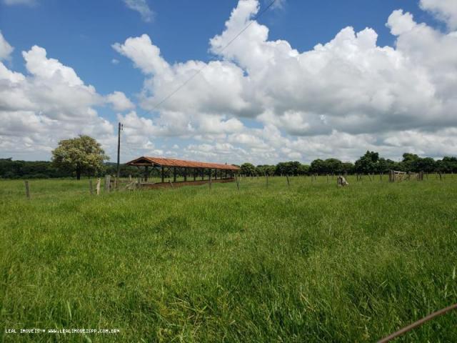 Sítio para venda em martinópolis, represa de martinopolis - Foto 17
