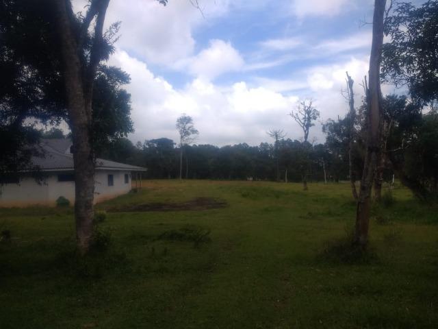 Fazenda em Tijucas do Sul -PR - Foto 12