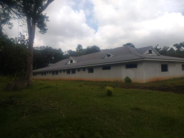 Fazenda em Tijucas do Sul -PR - Foto 2