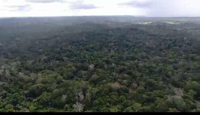 Terra barata 210 reais o hectare no Amazonas  - Foto 3