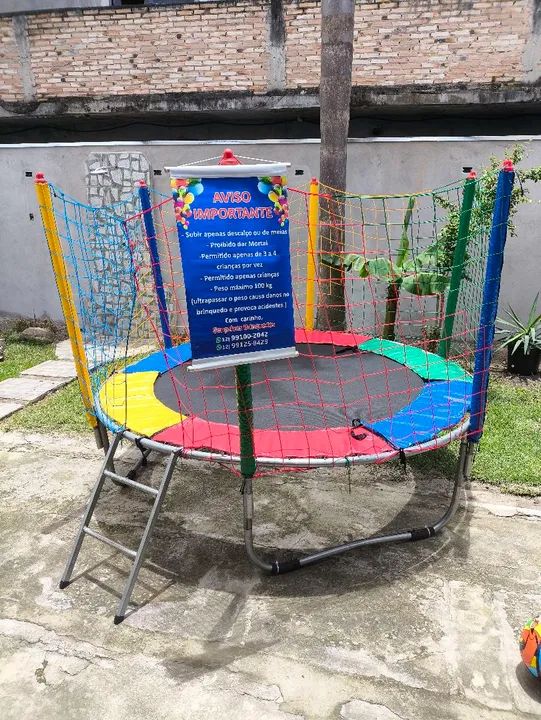 Brinquedos com Rede de Proteção