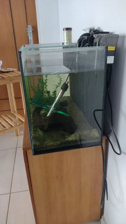AQUÁRIO 96 LITROS - Foto 4