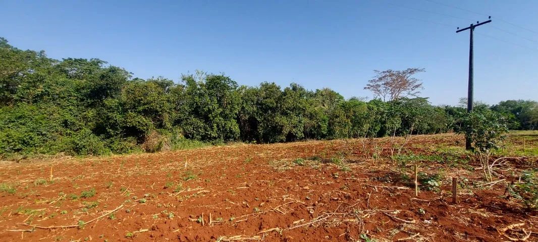 Sitio de 38,72 hectares com terra de cultura - Foto 4