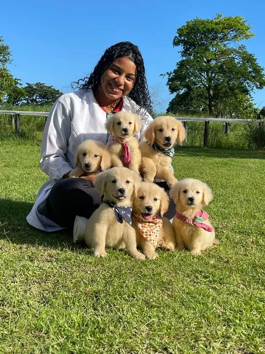 Amor de quatro patas. - Foto 2