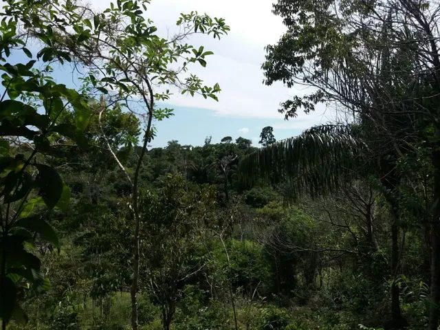Terreno próximo à Novo Airão - Foto 2