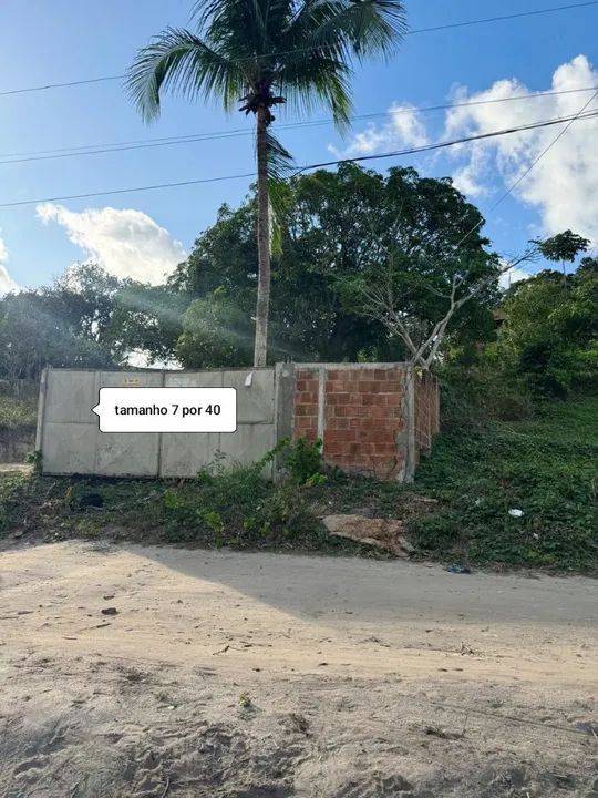 Foto - Paulista - Jaguaribe