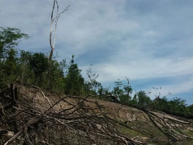 Terreno próximo à Novo Airão - Foto 5