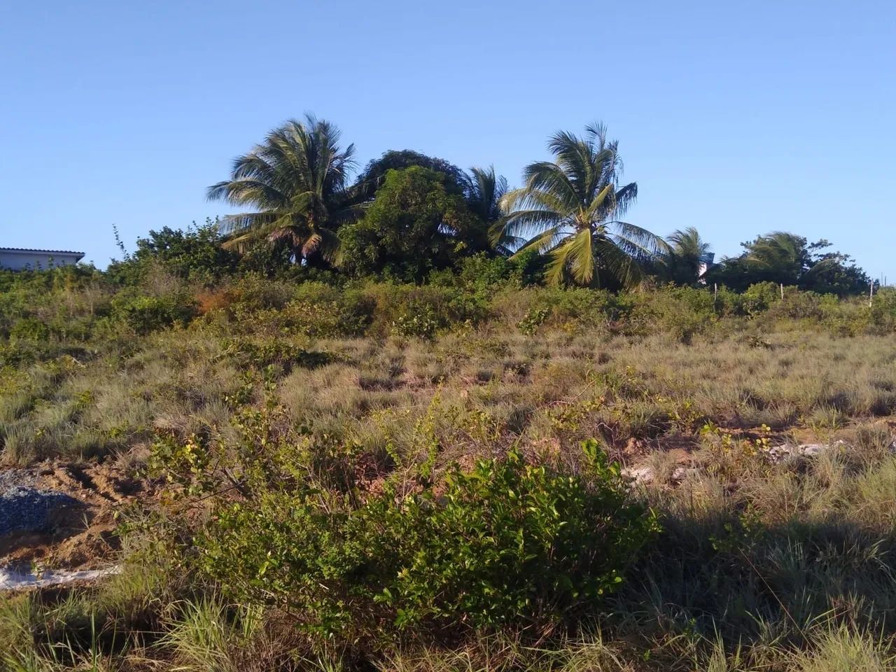 Vendo Área com 2200m2 em Gramame/ Praia do Sol há 200m do Mar 