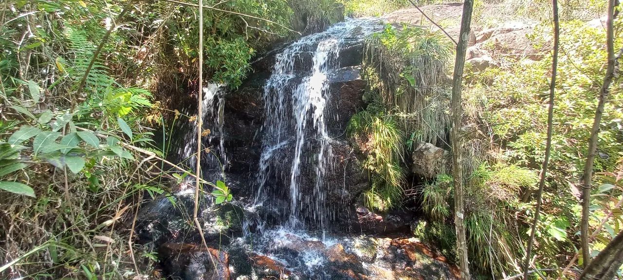 Terreno Com Rio e Corredeiras do Aiuruoca !! - Foto 3