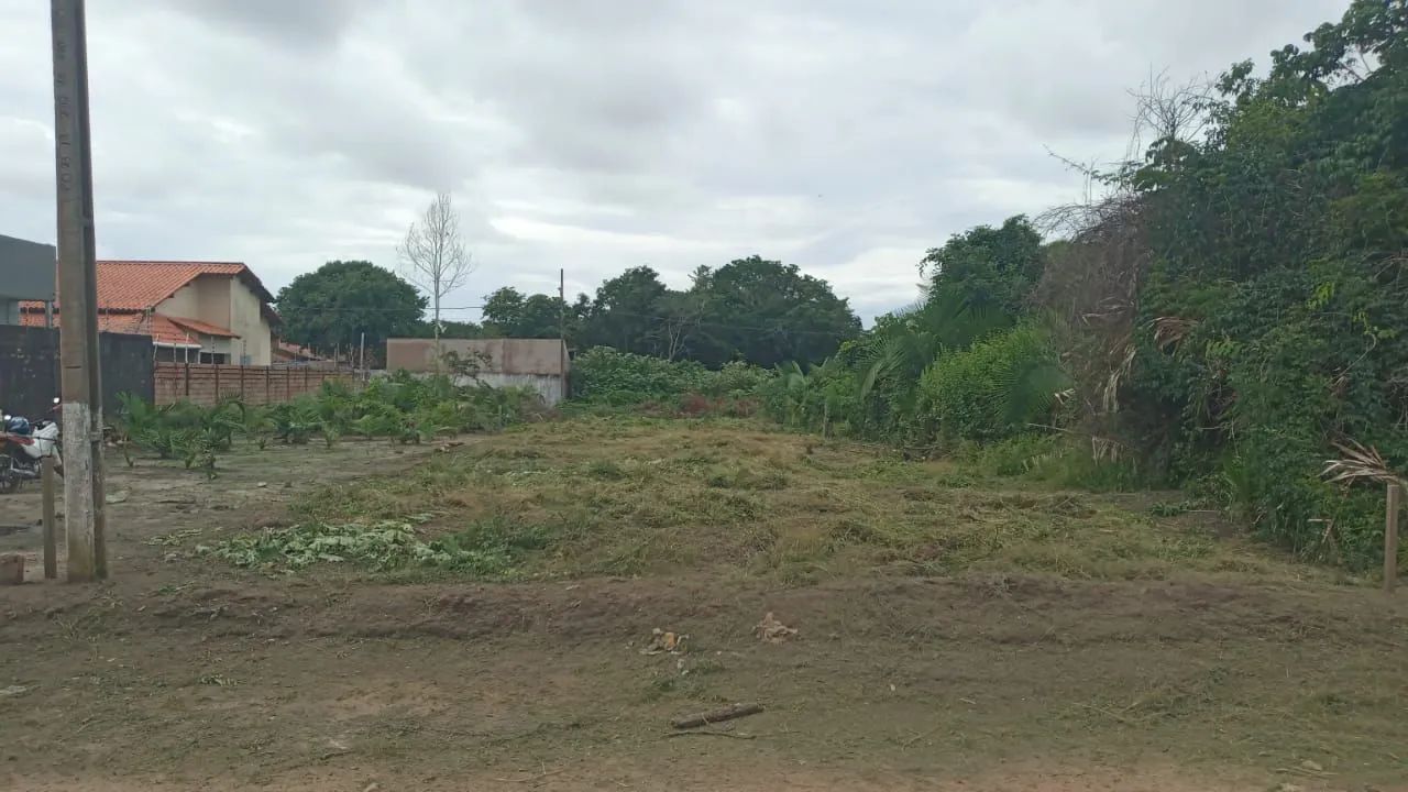 Limpeza de terrenos 