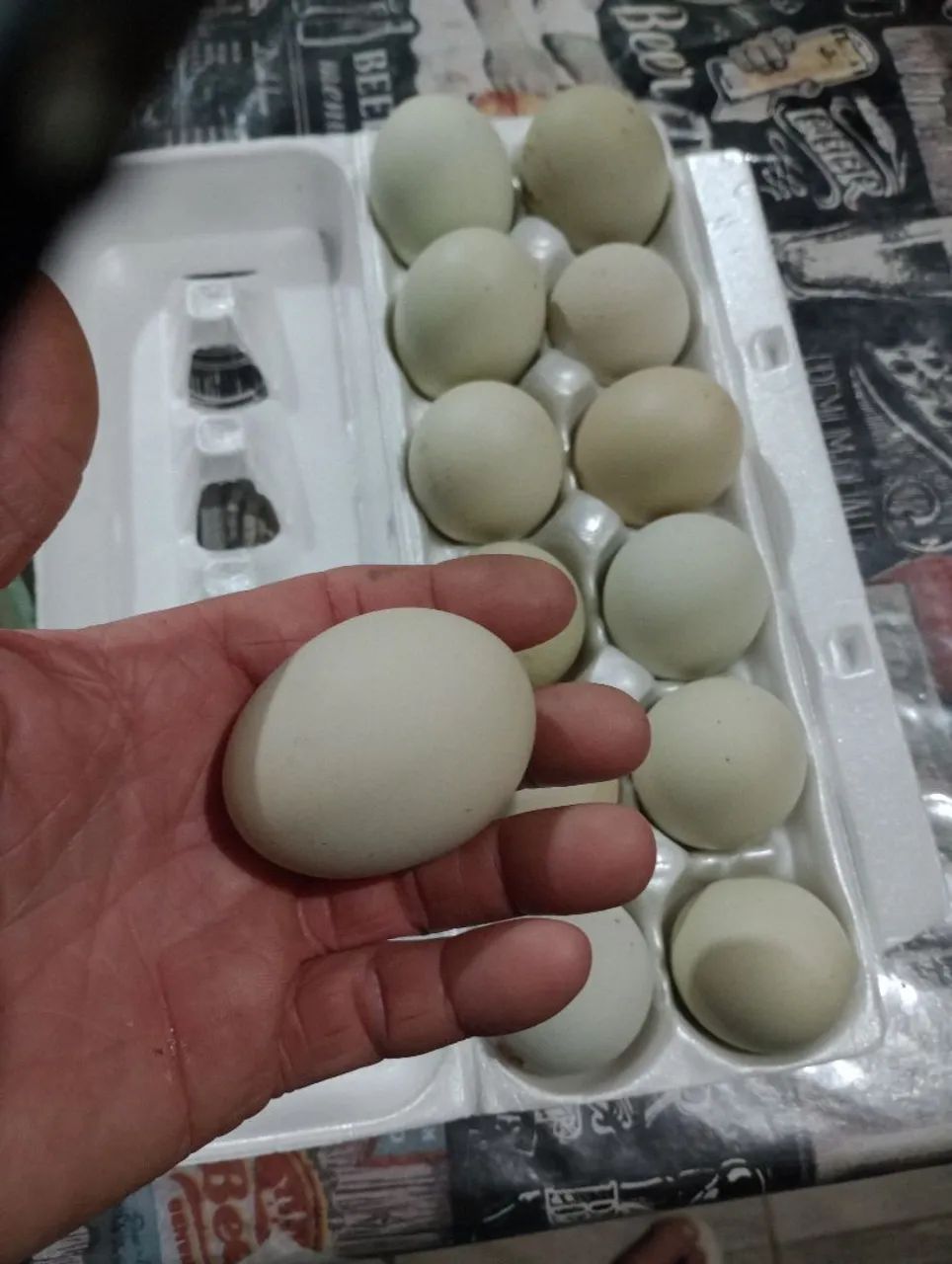 Vendo ovos azuis de qualidade - Foto 2