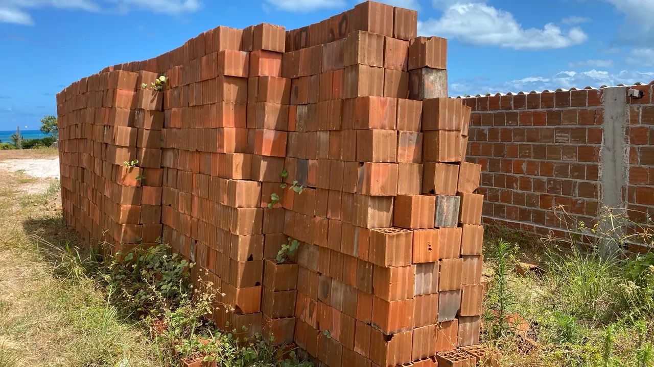 Bricks64861430380930122