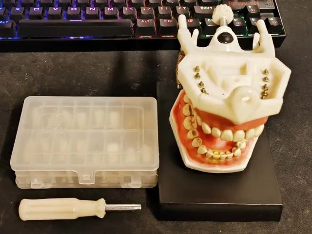 Manequim Dentística com dentes reservas para troca - Foto 2