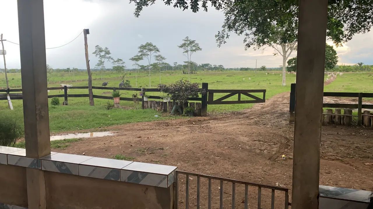Fazendinha  - Foto 3
