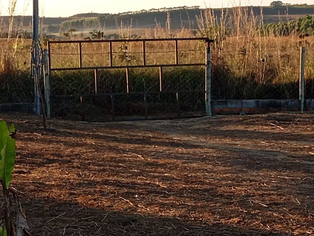 Chácara 2.000² entre Anápolis e Abadiânia.  - Foto 7