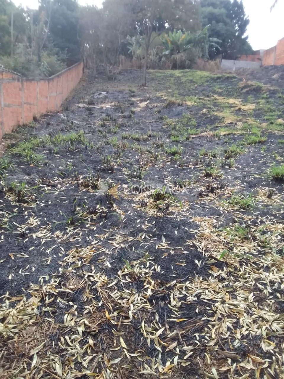 terreno - Cidade Satélite Íris - Campinas - Foto 7