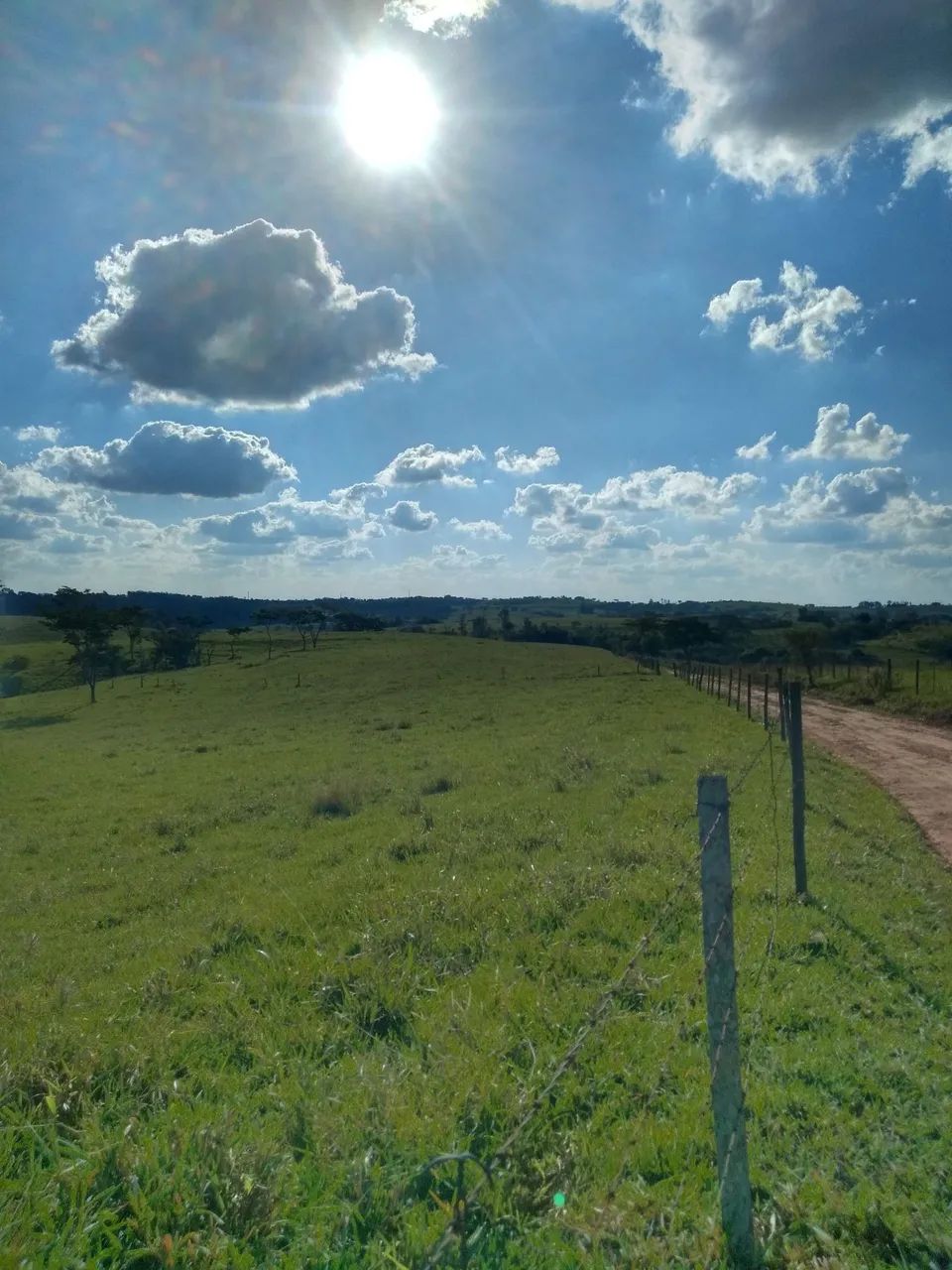 Sítio 6 alqueires em Pacaembu -SP - Foto 2