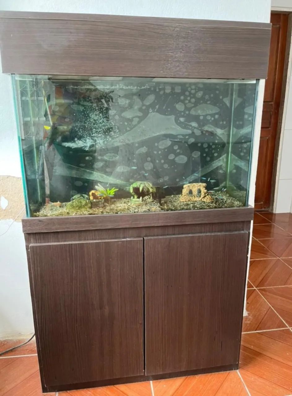 Black Friday  de verdade!64316920698627120