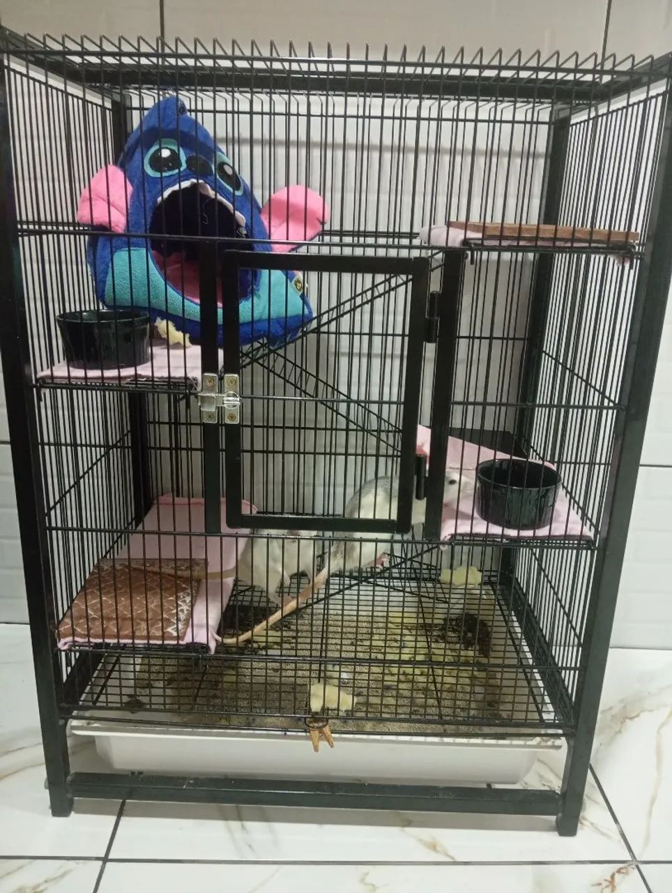 Gaiola Gaiopar para Roedores  - Foto 2