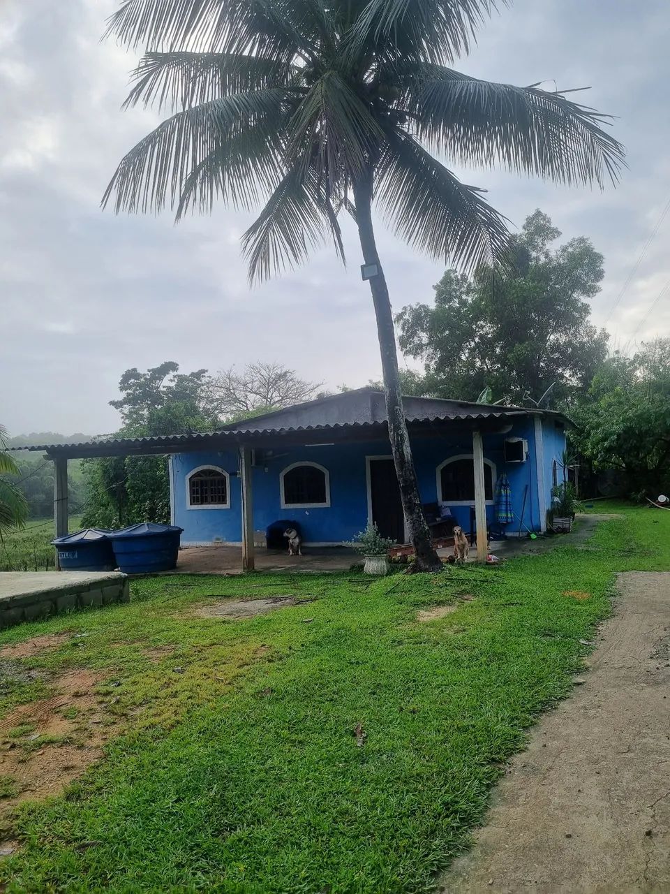 Chácara a venda  - Foto 2