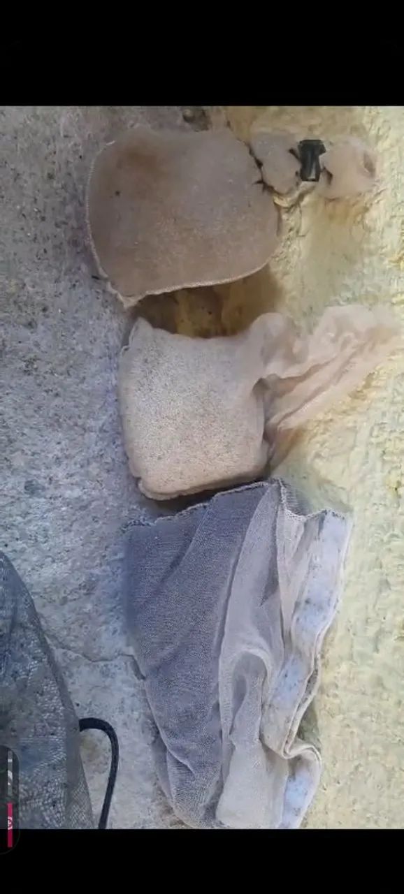 OPORTUNIDADE E ACEITO OFERTAS! Aquário 250 litros Sump Filtro Externo Base + 2 aquários - Foto 4