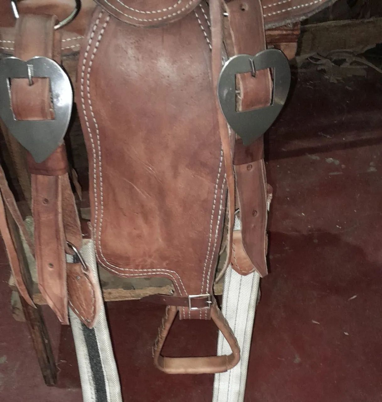 Sela australiana  - Foto 3