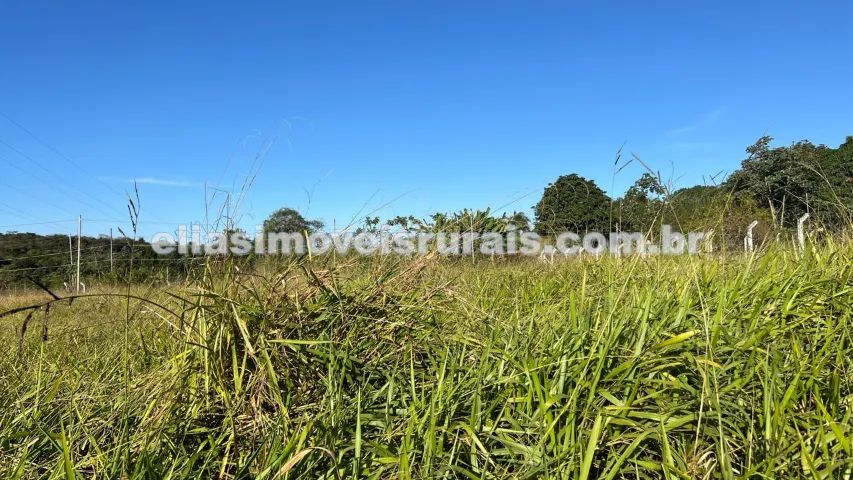 Chácara a 10 km de Uberlândia - Foto 4