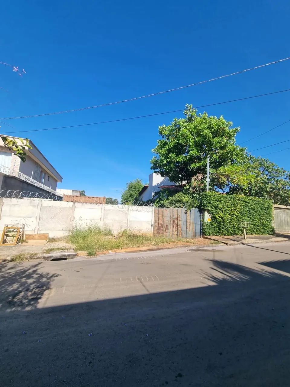 Lote Setor Goiânia 2 360m² - Foto 2