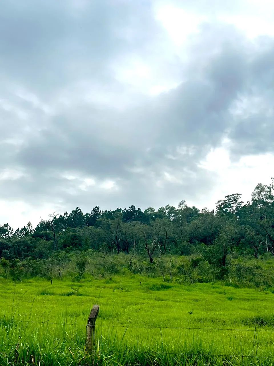 30 Minutos de Barueri e 40 de São Paulo: Invista no Melhor de São Roque! - Foto 3