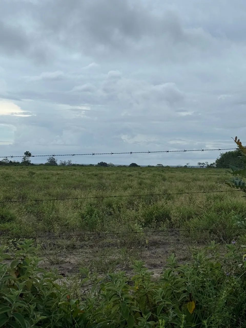 Fazenda à Venda no Porto Grande, Macapá:* - Foto 8