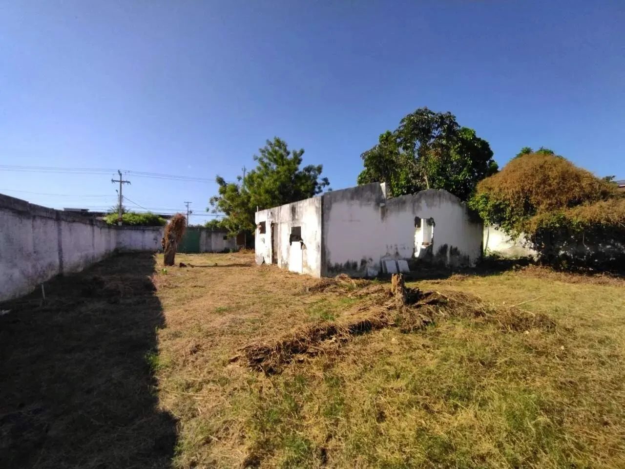 Terreno - Aluguel - Foto 4