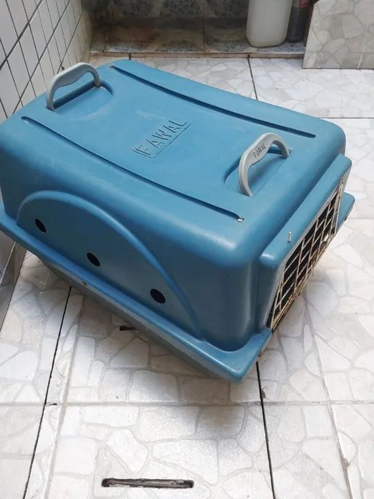 Caixa de Transporte para Cães