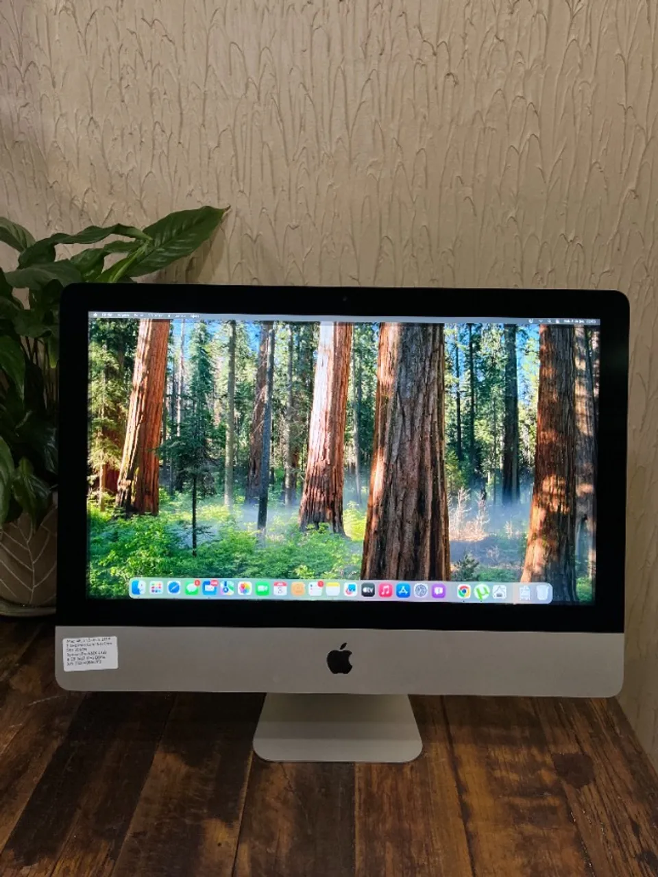 Apple iMac 21.5 インチ(2019) Apple iMac de 21,5 polegadas – Acronsoft