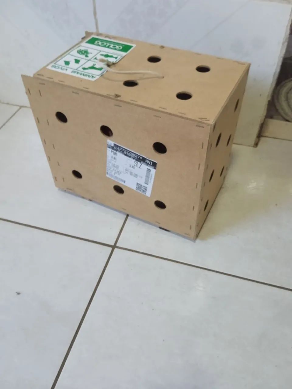 Caixa Transporte Animal  - Foto 2