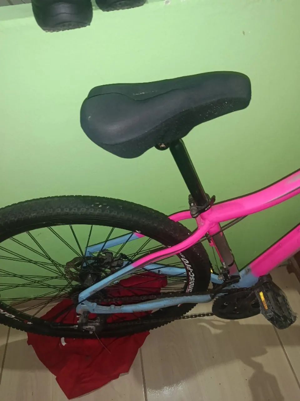 Bicicleta 
