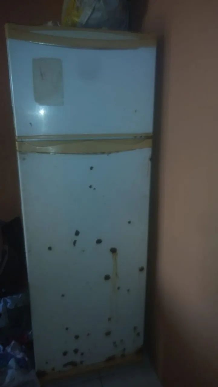 Vendo geladeira 
