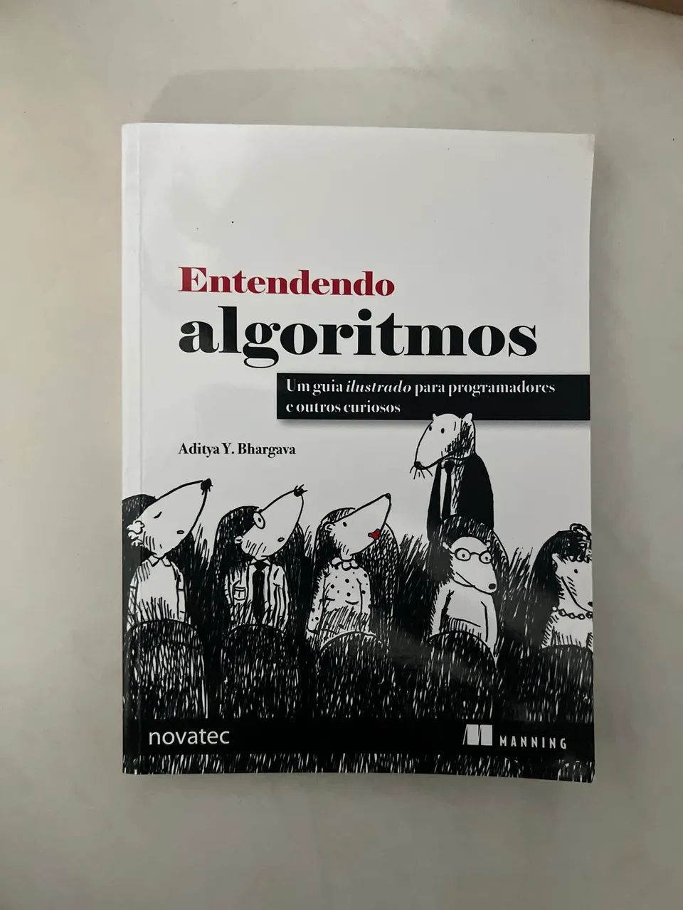 Entendendo Algoritmos
