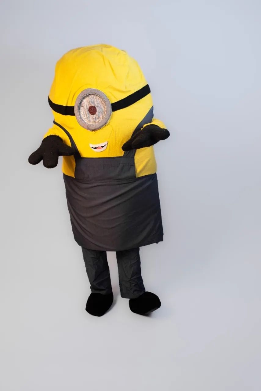 Fantasia Minion  - Foto 3